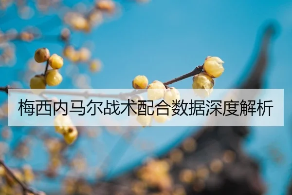 mei-xi-nei-ma-er-zhan-shu-pei-he-shu-ju-shen-du-jie-xi-2-843.jpg